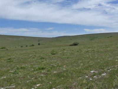 Прикрепленное изображение: DSCF8446p.jpg